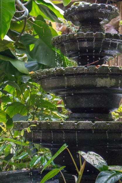 Kleine stenen fontein in tropische tuin fontein in vaas in Aziatische achtertuin Zen en vrede concept