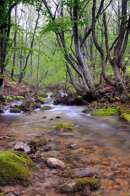 Kleine stroom stroomt met waterval en bemoste stenen eromheen