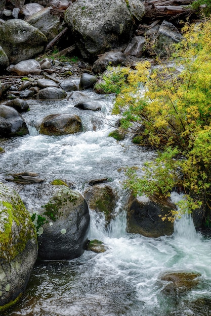 Kleine stroomversnellingen langs de rivier de Yellowstone