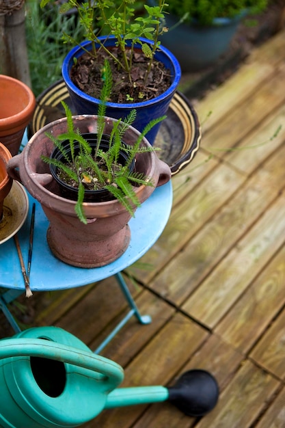 Kleine tuin op een terras