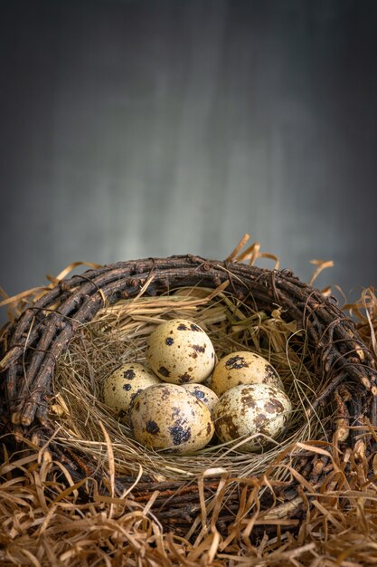 Kleine verse kwarteleitjes in een nest