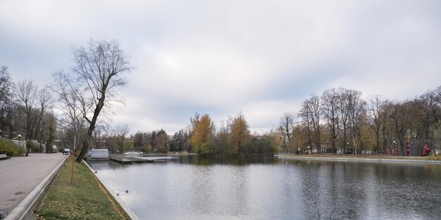 kleine vijver in een stadspark met wilde eenden in de herfst