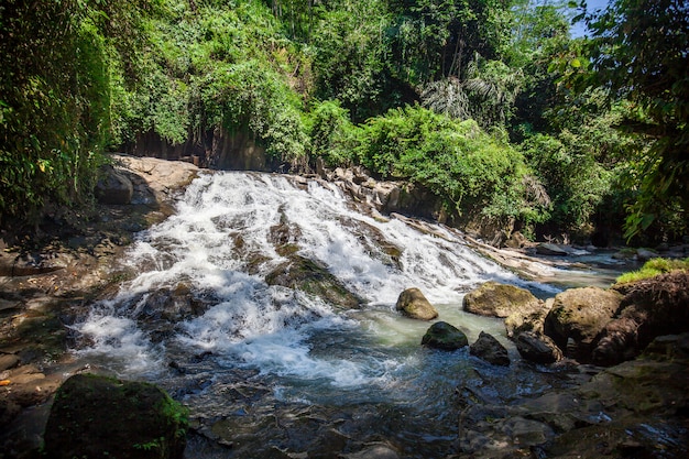 Kleine waterval en groene bomen op Bali