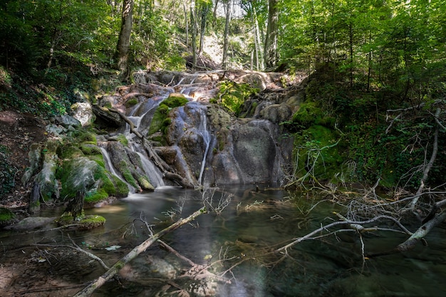 Kleine waterval in bos, Roemenië.