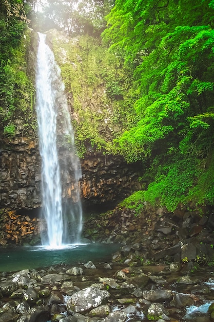 Kleine waterval in de dichte jungle van Sumatra