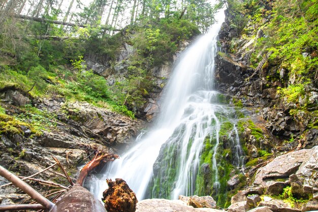 Kleine waterval in de prachtige natuur van Slowakije Ontspan tijd