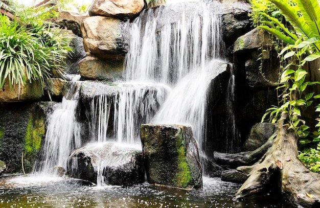 Kleine waterval in diepe bossen