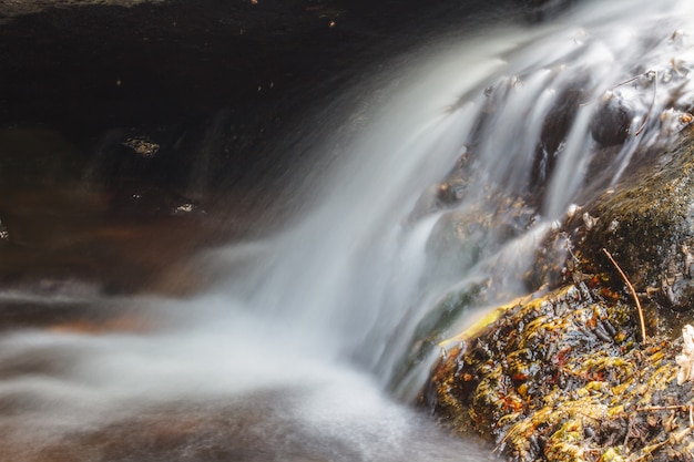 Kleine waterval in diepe bossen