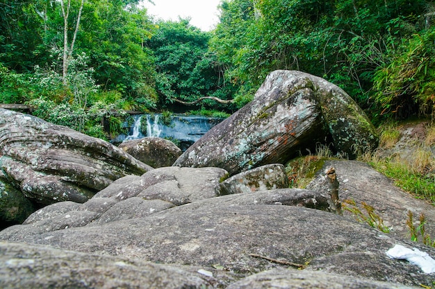 Kleine waterval in het bos