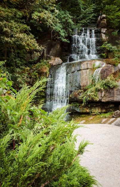 Kleine waterval in het park in de herfst