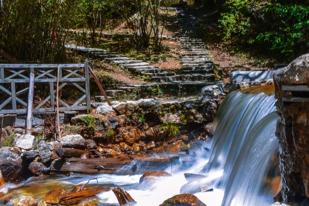 Kleine waterval in het park