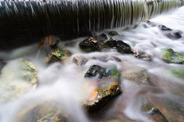 Kleine waterval met gebladerte