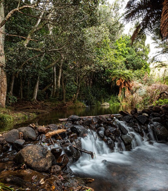 Kleine waterval met rotsen