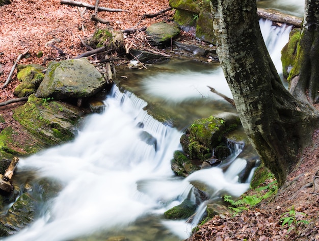 Kleine waterval van bergrivier tussen de bomen