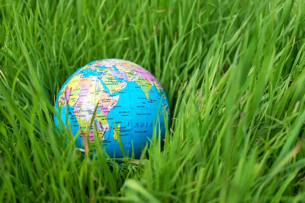 Kleine wereldbol in het gras