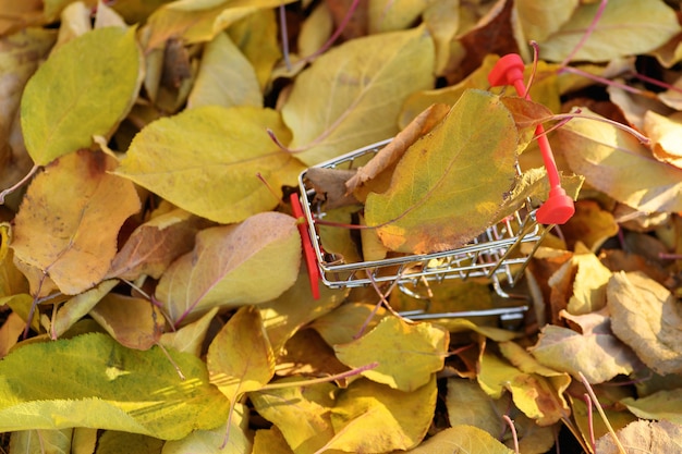 Kleine winkelwagen met herfstbladeren. online verkoopconcept. herfst achtergrond