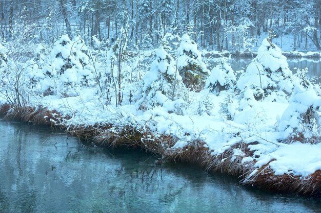 Foto kleine winterstroom met besneeuwde bomen op de bank.