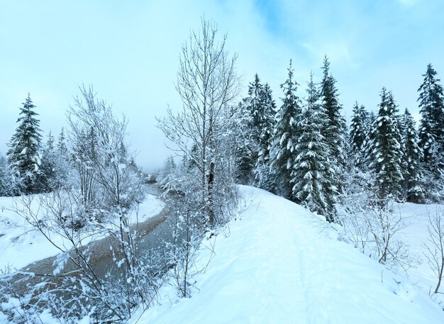 Kleine winterstroom met besneeuwde bomen op de bank.