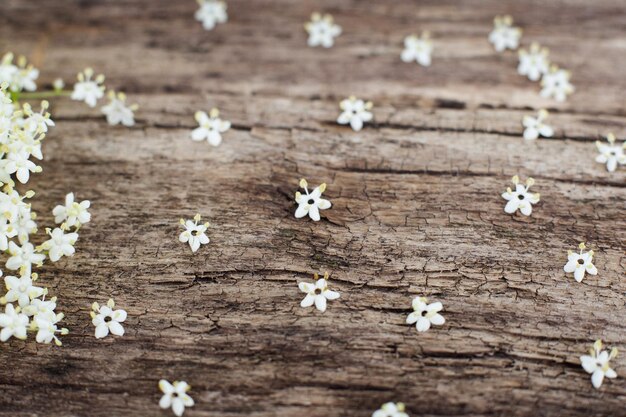 Kleine witte bloemen houten achtergrond