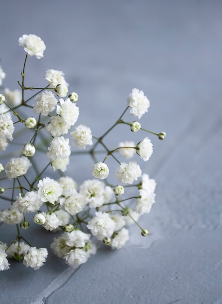 Kleine witte bloemen liggen op een grijze betonnen achtergrond. Banier. Plaats voor tekst.