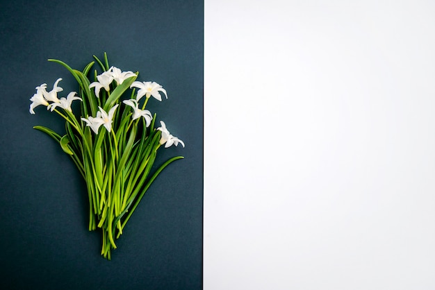 Kleine witte bloemen op donkergroene achtergrond