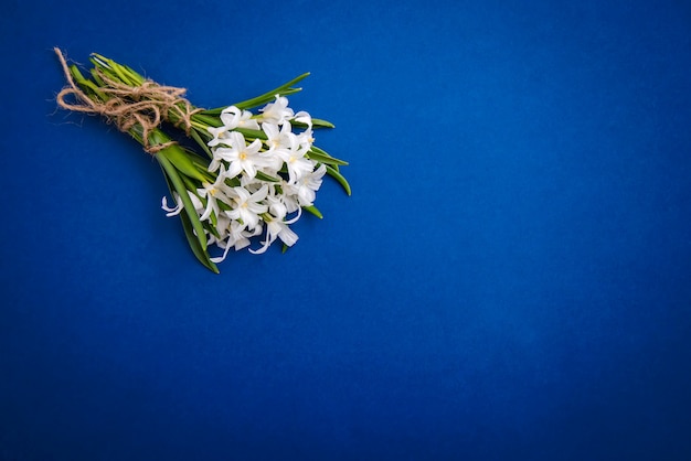 Kleine witte chionodoxa-bloemen op blauwe achtergrond, exemplaarruimte