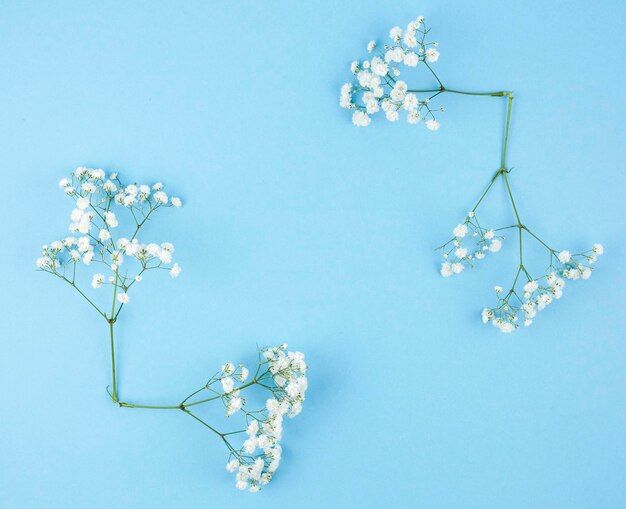 kleine witte gypsophila blauwe achtergrond