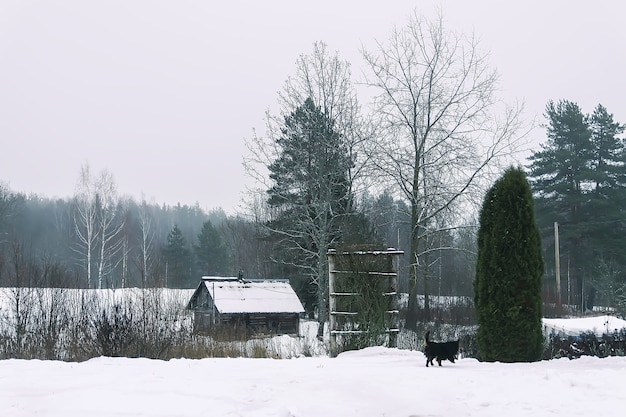 Kleine zwarte hond loopt langs de weg in het dorp in de winterdag.