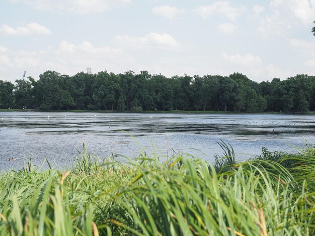 Озеро kleiner dutzendteich в нюрнберге