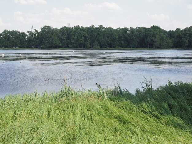 Kleiner dutzendteich-meer in neurenberg