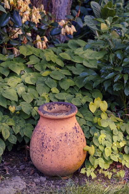 Kleipot in mijn tuin In mijn tuinpot en bloempot