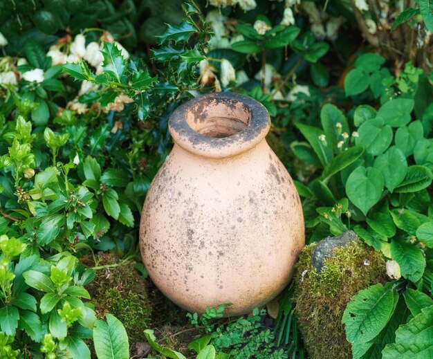 Kleipot in mijn tuin In mijn tuinpot en bloempot