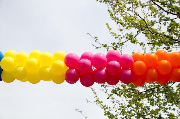 Kleur ballonnen in de lucht tussen bomen