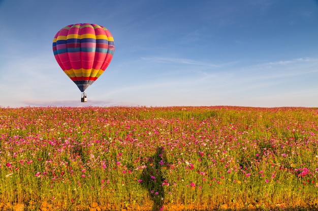 kleur hete luchtballon in blauwe hemel met cloud