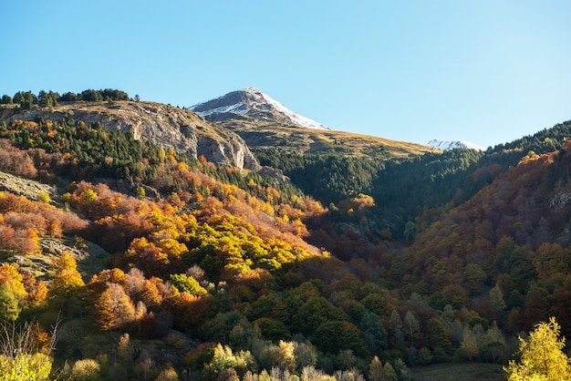 Kleur van de herfst op de berg