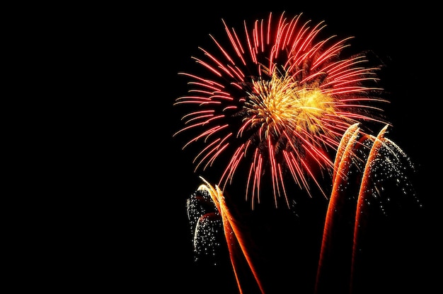 Kleur vuurwerk barstte in de nachtelijke hemel.