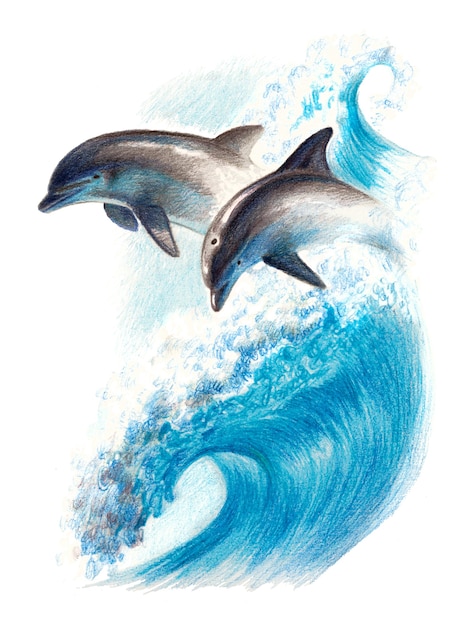 Foto kleurentekening: twee dolfijnen op een golf. aquarel potloden