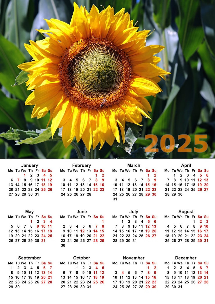 Foto kleurige muurkalender 2025 op witte achtergrond europa drukbaar