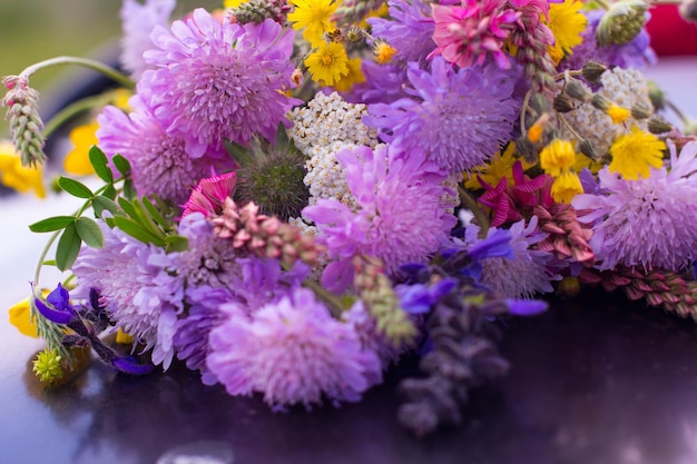 Kleurrijk boeket wilde bloemen