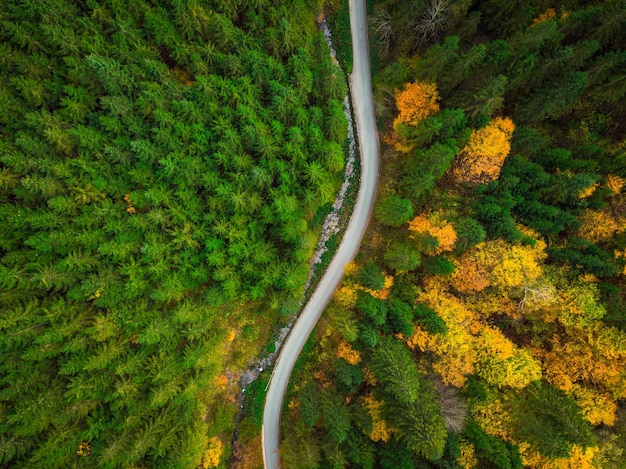 Kleurrijk bos en bochtige luchtfoto drone uitzicht van bovenaf