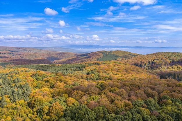 Kleurrijk de herfstlandschap