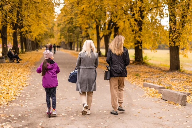 Kleurrijk gebladerte in de herfst park