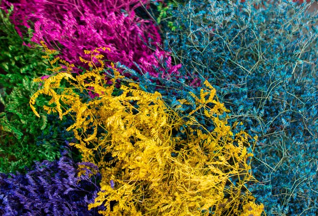 Foto kleurrijk geverfde gedroogde wilde bloemen voor documentatie
