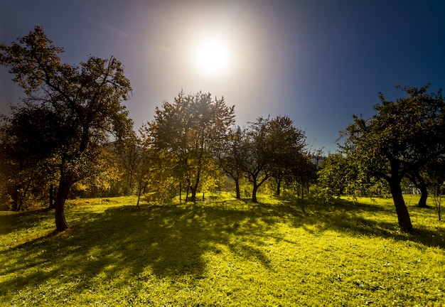 Kleurrijk herfst landschap