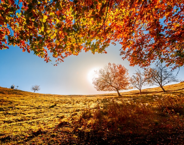 Foto kleurrijk herfst landschap