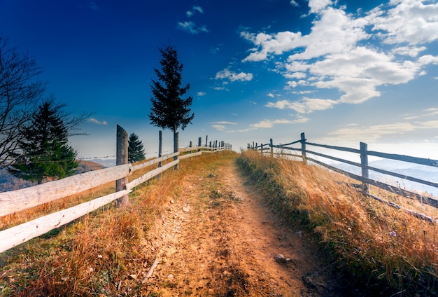 Kleurrijk herfst landschap