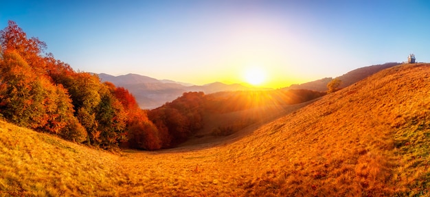 Foto kleurrijk herfst landschap
