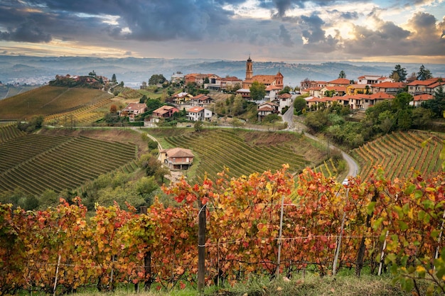 Kleurrijk herfstlandschap in wijngaarden in Piemont, Italië