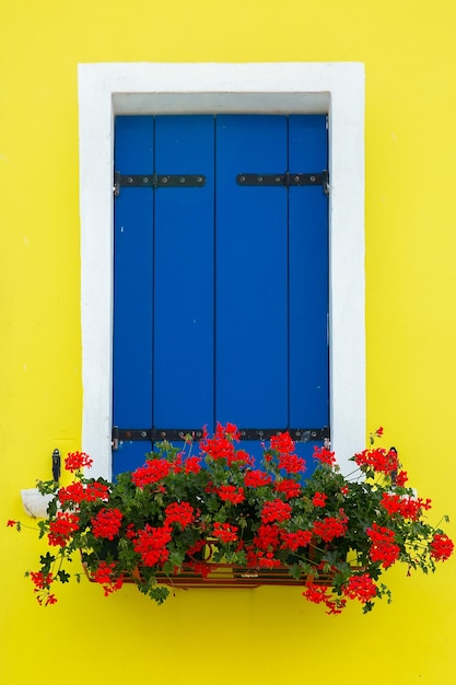 Kleurrijk raam aan de muur Burano Venetië Italië