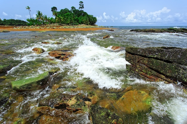 Kleurrijk uitzicht op het strand in Ghana, West-Afrika